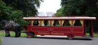 Paardentrams228